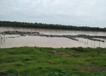 Ratusan keramba milik empat kelompok tani di Kabupaten Batanghari hanyut terseret arus sungai, Rabu (25/1/2023). (Foto Wahyu)