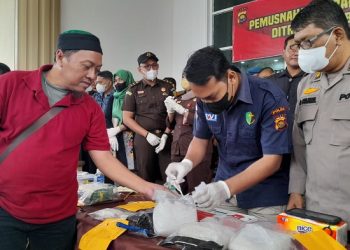 Pemusnahan barang bukti Narkoba Jenis Sabu dan Ganja di Mapolda Jambi, Kamis (26/1/2023). (Foto Hajrin Febrianto)