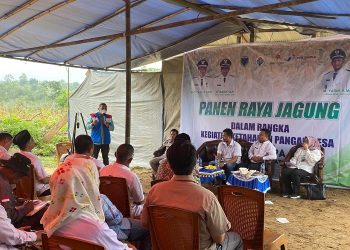 Pembukaan acara Panen raya Kelompok Tani Binaan SKK Migas - Pertamina EP Jambi Field di Desa Pompa Air, Rabu (15/03/2023). (Dok. SKK Migas/Tania)