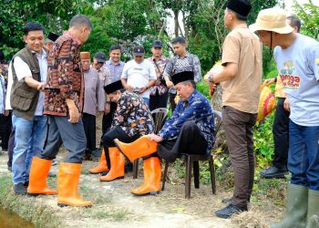 Abdullah Sani bersama Kelompok Tani melakukan penanaman padi di Desa Pasar Pelawan, Kamis (20/07/2023). (Foto: Diskominfo/Agus)