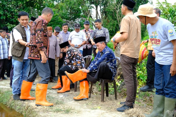 Abdullah Sani bersama Kelompok Tani melakukan penanaman padi di Desa Pasar Pelawan, Kamis (20/07/2023). (Foto: Diskominfo/Agus)