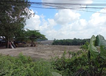 Lokasi Rencana pembukaan stockpile batu bara di wilayah Kelurahan Aur Kenali,Kota Jambi, Rabu (26/07/2023) (Dok. siklusjambi)