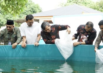 Penyerahan bantuan bibit ikan lele kepada Pokdakan Berlian 79 di RT 39 Kelurahan Thehok,Kota Jambi, Kamis (3/8). (Dok. siklusjambi/Bambang)