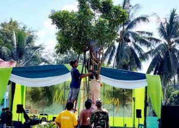Panitia sedang bekerja untuk mempersiapkan kegiatan pementasan Revitalisasi Lisan Mujuk Sialang dilapangan MTSN 6 Batanghari, Kabupaten Batanghari, Sabtu (5/8/2023) (Dok. siklusjambi)
