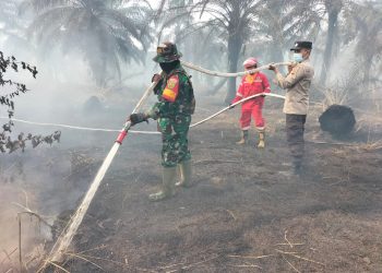 Danrem 042/Gapu Pimpin Langsung Padamkan Api Kebakaran Lahan Gambut di Dusun Setia Jaya RT. 09 Desa Ramin, Kab. Muaro Jambi, Kamis, (31/08/2023). (Penrem 042/Gapu)